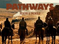 Source Audio Pathways Stereo Reverb Tremolo Pedal with MIDI Control